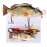 Robotic Swimming Fishing Electric Lures 5.12 USB Rechargeable LED Light Wobbler Multi Jointed Swimbaits Hard Lures Fishing Tackle (Common Shad1(Upgrade 2023))
