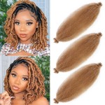 Marley Twist Braiding Hair 12 Inch Pre-separated Springy Afro Twist Hair 3 Packs Marley Hair for Faux Locs Afro Spring Twist Hair Extensions (12 Inch (Pack of 3), 27)