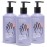 EVOLVED BY NATURE Liquid Hand Soap, 12 Oz (Pack of 3), Lavender Lemongrass, Biodegradable Formula