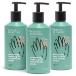 EVOLVED BY NATURE Liquid Hand Soap, 12 Oz (Pack of 3), Rosemary Lemon, Biodegradable Formula