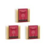 Plantlife Himalayan Rose 3-Pack Bar Soap - Moisturizing and Soothing Soap for Your Skin - Hand Crafted Using Plant-Based Ingredients - Made in California 4 oz Bar