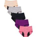 WBEAUTALLOVE Womens Mesh Period Panties High Waisted Menstrual Leak Proof Underwear Incontinence Protective Briefs(H-4-5-1,5X-Large)