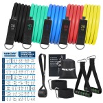 WIKDAY Exercise Resistance Bands with Handles for Working Out, 150/200/250/300 Lbs Workout Bands Set with Door Anchor for Physical Therapy, Yoga, Pilates