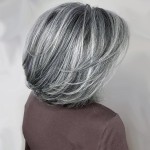 TISHINING Grey Short Bob Wigs for White Women with Curtain Bangs Chin Length Highlight Gray Natural Straight Hair Wig Synthetic Natural Looking Daily Party Wig Salt and Pepper Wigs for Women