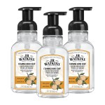 J.R. Watkins Foaming Hand Soap Pump with Dispenser, Moisturizing Hand Soap Foam, Alcohol-Free and Cruelty-Free, Use for Kitchen or Bathroom, Orange, 9 fl oz, 3 Pack