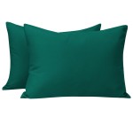 NTBAY Zippered Toddler Pillowcases Set of 2, 100% Brushed Microfiber 13x18 Pillowcases, Super Soft and Cozy Travel Kids Nursery Pillow Cases, 13x18 Inches, Dark Green