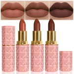 evpct 3Pcs Dark Deep Orange Brown Coffee Nude Matte Lipstick Sets for Women 24 Hour Matt Matte Lipstick Long Lasting Waterproof and Smudge Proof Fall Color Lipstick Shades Dark Brown Lip Liner Set 02