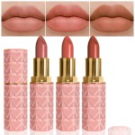 evpct 3Pcs Nude Beige Light Brown Orange Matte Lipstick Sets for Women 24 Hour Matt Matte Lipstick Long Lasting Waterproof and Smudge Proof Fall Color Lipstick Shades Dark Brown Lip Liner Set 01