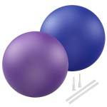 Soft Pilates Ball 9 Inch, Ideal Small Exercise Ball Between Knee Squeeze for Physical Therapy Yoga Core Medicine Abs Pt Bouncy, Mini Rubber Fitball Barre Workout Equipment for Women Men Kid Toddler