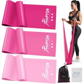 HPYGN Exercise Bands Resistance, Workout Bands for Physical Therapy, Fitness Bands for Yoga, Pilates, Rehabilitation, Stretch, Fitness, Strength Training, Resistance Bands for Working Out