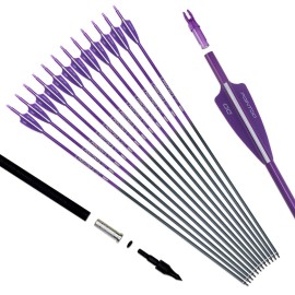 Pointdo 30inch Carbon Arrow Fluorescence Color Targeting and Practice and Hunting Arrows for Compound Bow and Recurve Bow with Removable Tips(Pack of 12) (Fluorescein Purple)