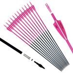 Pointdo 30inch Carbon Arrow Fluorescence Color Targeting and Practice and Hunting Arrows for Compound Bow and Recurve Bow with Removable Tips(Pack of 12) (Fluorescein Pink)