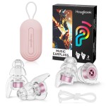 Hearprotek Concert Ear Plugs, 2Pairs Reusable high Fidelity Musician Ear Plugs for Concerts Loud Music-Noise Reduction Ear Protection earplugs for Rave,Festival,Music,Tinnitus Relief