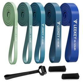 LEEKEY Resistance Bands, Exercise Bands with Handles,Pull Up Assist Bands - Band Set with Door Anchor - Bands for Working Out,Band for Men and Women Fitness Training,Home Workouts