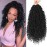 Col Bling 12 Inch 8 Packs Goddess Locs Crochet Hair Faux Locs Crochet Hair for Women Pre Looped River Locs Hair with Curly Ends Synthetic (12 Inch 8 Packs, 1B)