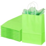 BLEWINDZ 32Pcs Small Paper Gift Bags with Tissues, Green Party Favor Bags with Handles, 8.7 Goodie Bag for Birthday, Shopping, Party Supplies