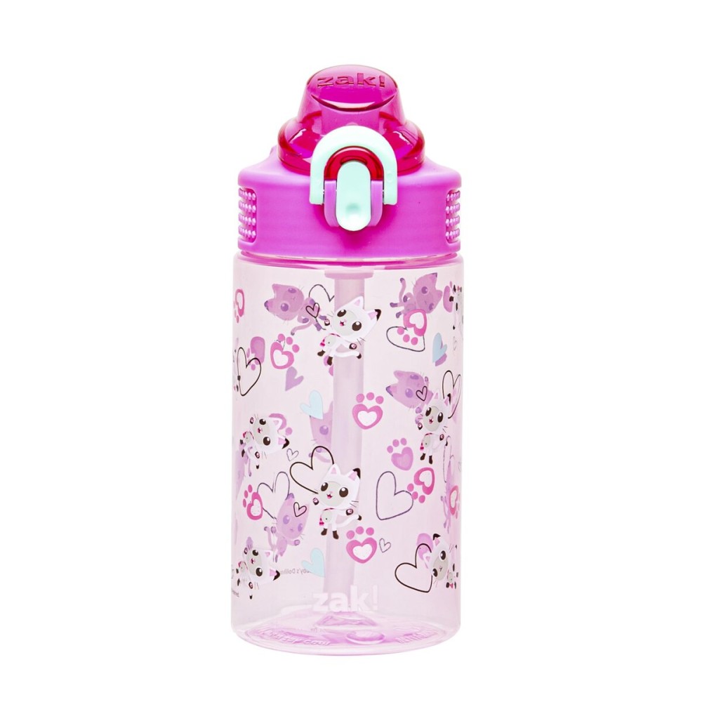 Zak Designs DreamWorks Gabby\'s Dollhouse Sage Water Bottle For School or Travel, 16oz Durable Plastic Water Bottle With Straw, Handle, and Leak-Proof, Pop-Up Spout Cover (Pandy Paws)