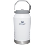 Stanley IceFlow Flip Straw Jug with Handle 96 oz| Twist On Lid and Flip Up Straw | Leak Resistant for Travel and Sports | Insulated Stainless Steel | BPA-Free | Polar