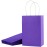 SUNCOLOR 24-Pack Purple Gift Bags with Handles - 8 Goodie Bags for Party Favor Bags, Birthdays, Weddings & Special Occasions (Purple)