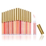 Beauty Concepts Lip Gloss Collection - Shimmering, Glossy Lip Makeup Set for a Radiant Finish, Pink Ornaments