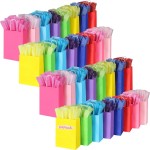 BLEWINDZ 64 Pieces Gift Bags Bulk with 64 Tissues, Small Party Favor Bags with Handles, Rainbow Goodie Bag for Wedding, Birthday, Shopping, Party Supplies