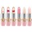 BestLand 6 Pcs/Set Flower Jelly Lipstick Set Temperature Change Moisturizer Long Lasting Nutritious Shimmer Lip Balm Magic Color Change Lip Gloss (Color Changing Lipstick Set B)