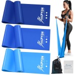 HPYGN Resistance Bands for Working Out, Exercise Bands for Physical Therapy, Yoga, Pilates, Rehab, Fitness, Elastic Band for Exercise at Home, Resistance Bands for Working Out Women and Men