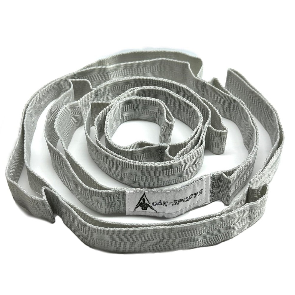 Stretching Strap Yoga Strap with Loops, Stretch Straps for Physical Therapy, Non-Elastic Exercise Strap for Pilates, Dance and Gymnastics with Workout Guide (Silver Gray)