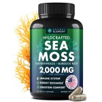 Sea Moss Capsules - Irish Sea Moss Advanced with Burdock Root, Bladderwrack & Muira Puama for Immunity, Gut, & Energy - Superfood Sea Moss Supplements w/Raw Sea Moss Powder - 120 Irish Seamoss Pills