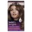 Clairol Bold & Bright Permanent Hair Dye, 67 Chocolate Hair Color, Pack of 1