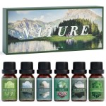 SALUBRITO Nature Fragrance Oils Set, Essential Oils Set - Forest Pine, Ocean Breeze, Rain, Fresh Cut Grass, Mountain Air, Bamboo, Premium Scented Oil for Diffuser, Candle, Soap Making