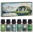 SALUBRITO Nature Fragrance Oils Set, Essential Oils Set - Forest Pine, Ocean Breeze, Rain, Fresh Cut Grass, Mountain Air, Bamboo, Premium Scented Oil for Diffuser, Candle, Soap Making