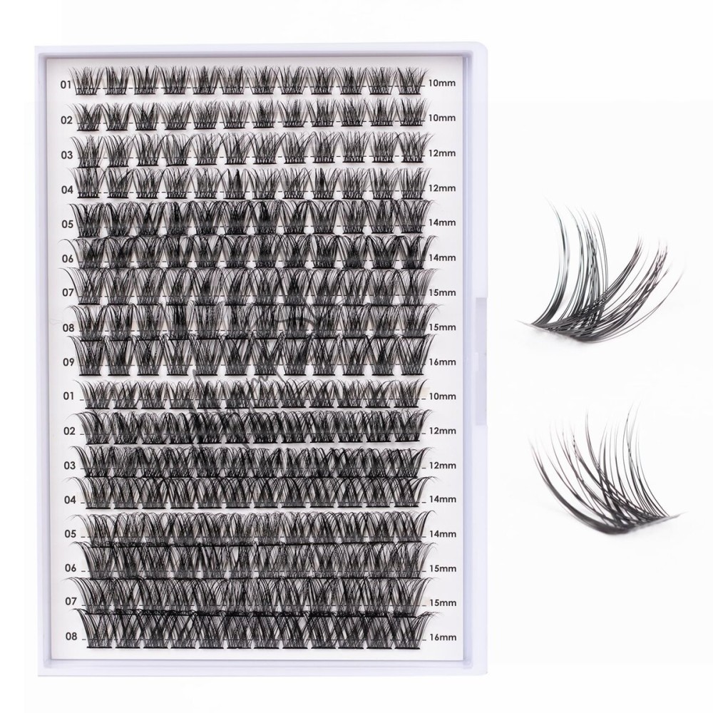Lash Clusters 204 Pcs Individual Lashes Clusters Eyelash Extensions False Eyelashes DIY Lash Extension Kit Reusable False Eyelashes Natural Look Mix 10-16mm C D Curl(DM01+DM17)