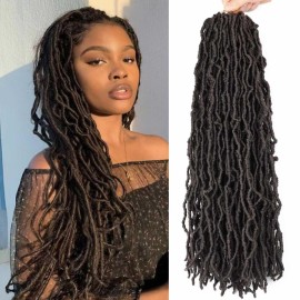 8 Packs Faux Locs Crochet Hair for Butterfly Locs Distressed Soft Locs 24 Inch Crochet Braids Hair for Women (24 Inch(Pack of 8), 4)