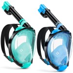 W WSTOO Full Face Snorkel Mask Adults,Suitable for Beginners Dry Top Snorkeling Gear,Can Your Mouth or Nose to Breathe,180 Degrees Panoramic View,Anti-Fog Anti-Leak,Summer Travel and Vacationing Gifts
