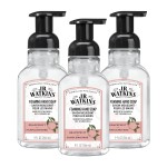 J.R. Watkins Foaming Hand Soap with Pump Dispenser, Moisturizing Foam Hand Wash, Alcohol-Free and Cruelty-Free, Grapefruit, 9 fl oz, 3 Pack