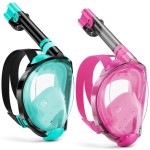 W WSTOO Full Face Snorkel Mask Adults,Suitable for Beginners Dry Top Snorkeling Gear,Can Your Mouth or Nose to Breathe,180 Degrees Panoramic View,Anti-Fog Anti-Leak,Summer Travel and Vacationing Gifts