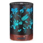 Metal Essential Oils Diffuser 150ML Christmas Aromatherapy Diffuser Cool Mist Humidifier with 7 Colors Lights Waterless Auto Off Air Diffusers as Gifts for Mom (B-Hummingbird)