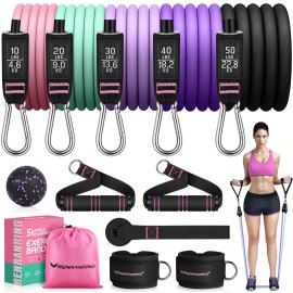 RENRANRING Resistance Bands for Working Out, 150LBS Exercise Bands, Workout Bands, Resistance Bands Set with Handles for Men Women, Legs Ankle Straps for Muscle Training