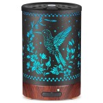 Metal Essential Oils Diffuser 150ML Aromatherapy Diffuser Cool Mist Humidifier with 7 Colors Lights Waterless Auto Off Air Diffusers as Gifts for Moms Women Girls (E-Hummingbird)
