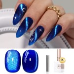 Double Rhythm 0.5 OZ Cat Eye Gel Polish with Magnet 15ML Holographic Glitter Shimmer Translucent Jelly Color Magnetic Nail Polish Salon DIY at Home (MC1078)