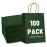 LIHOMR Gift Bags 8.25 x5.9 x3.15 100Pcs Paper Bags with Handles,kraft paper Bags for Small Business Christmas Bulk, Wedding, Party Favor, Shopping, Lunch, Halloween Trick-or-Treat (Green)