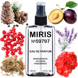 MIRIS No. 59797, Inspired by Bad Boy Coba Electrique, Long-Lasting Eau de Parfum for Men, Spray 3.4 Fl Oz / 100 ml