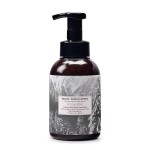 Michel Design Works Foaming Hand Soap 16.9oz, Alpine Scent and Design, Shea Butter and Aloe Vera Blend, Beautiful Container with Pump