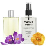 TWINS Impression of H24 | Perfume for Men Eau de Parfum | No.66045 | 3.4 Fl Oz / 100 ml