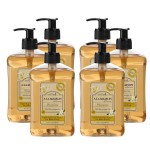 A LA MAISON French Liquid Hand Soap, Plumeria - Natural Hand Wash Made with Essential Oils - Biodegradable, Plant-Based, Vegan, Cruelty-Free, Alcohol & Paraben Free (16.9 oz, 6 Pack)