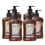 A LA MAISON Lavender Aloe Natural Hand Wash Made with Essential Oils - Biodegradable, Plant-Based, Vegan, Cruelty-Free 16.90 Fl Oz (Pack of 6)