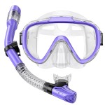 Seovediary Snorkeling Gear for Adults Anti-Fog Panoramic View Snorkel Mask Set Dry Top Snorkel Kit with Carry Bag for Snorkeling Scuba Diving Swimming Travel