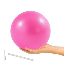 ElwynnLane 9 Inch Exercise Pilates Ball Mini Exercise Barre Ball for Yoga,Stability Exercise Training Gym Anti Burst and Slip Resistant Balls Physical Therapy Improves Balance