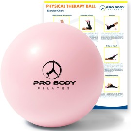 ProBody Pilates Ball, Exercise Balls Physical Therapy - 9 Inch Small Exercise Ball for Between Knees for Rehab, Barre, Core, Stability & Yoga, Physical Therapy Ball for Back Pain (Rose)